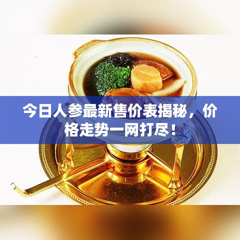今日人参最新售价表揭秘，价格走势一网打尽！