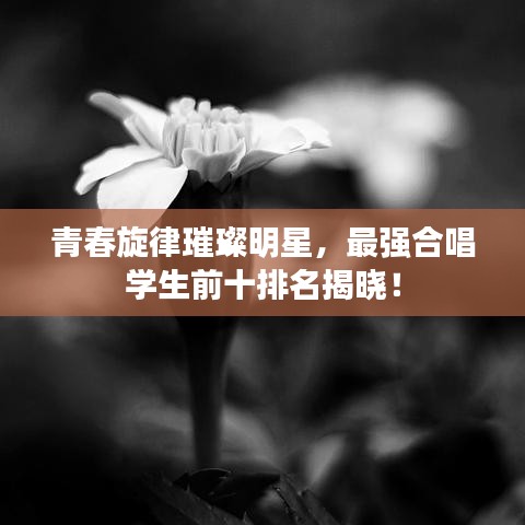 蛙鸣蚓叫 第2页