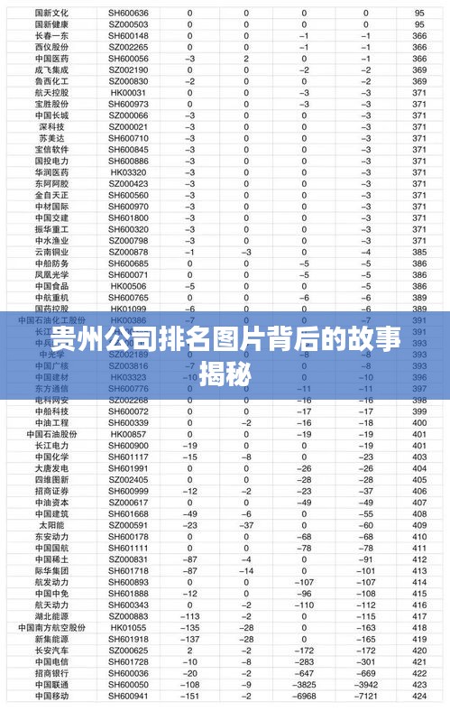 贵州公司排名图片背后的故事揭秘