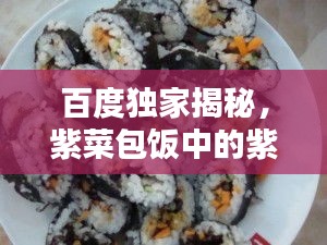 百度独家揭秘，紫菜包饭中的紫菜奥秘探索