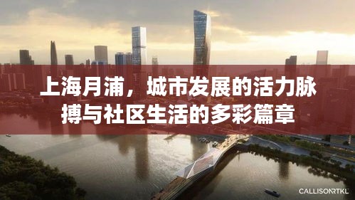 上海月浦，城市发展的活力脉搏与社区生活的多彩篇章