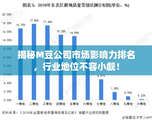 揭秘M豆公司市场影响力排名，行业地位不容小觑！