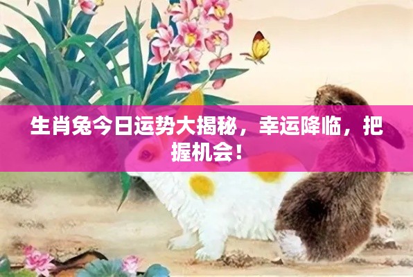 生肖兔今日运势大揭秘，幸运降临，把握机会！