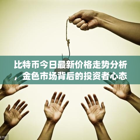 比特币今日最新价格走势分析，金色市场背后的投资者心态观察