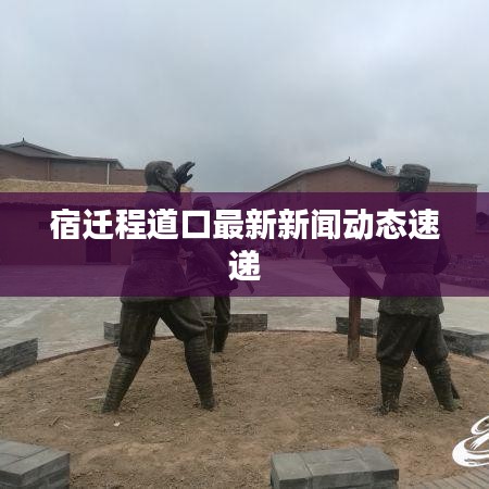 宿迁程道口最新新闻动态速递