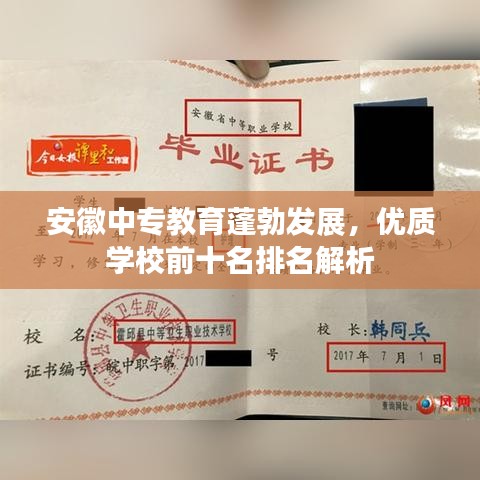 安徽中专教育蓬勃发展，优质学校前十名排名解析