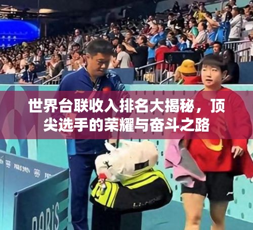 世界台联收入排名大揭秘，顶尖选手的荣耀与奋斗之路