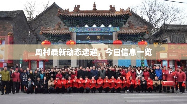 周村最新动态速递，今日信息一览