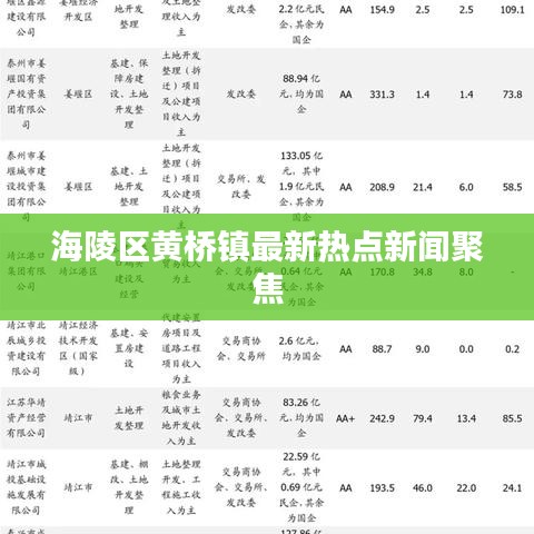 海陵区黄桥镇最新热点新闻聚焦