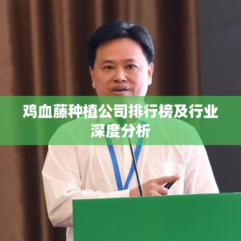 鸡血藤种植公司排行榜及行业深度分析