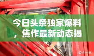 今日头条独家爆料，焦作最新动态揭秘