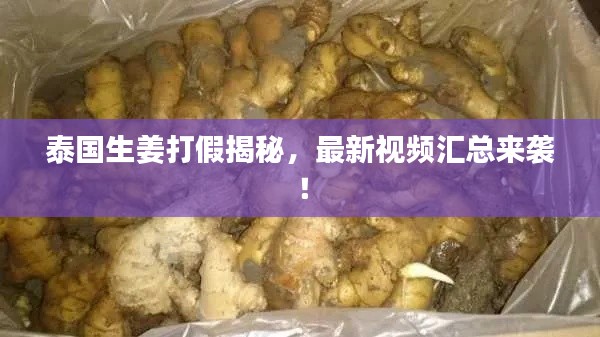 泰国生姜打假揭秘，最新视频汇总来袭！