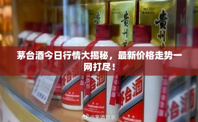 茅台酒今日行情大揭秘，最新价格走势一网打尽！