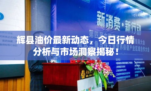 辉县油价最新动态，今日行情分析与市场洞察揭秘！