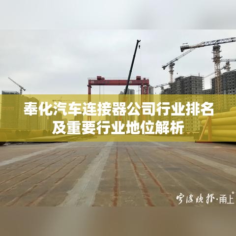 奉化汽车连接器公司行业排名及重要行业地位解析
