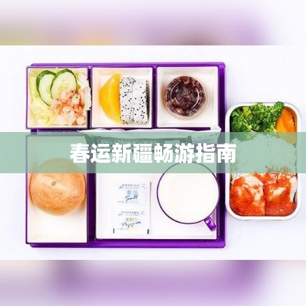 春运新疆畅游指南