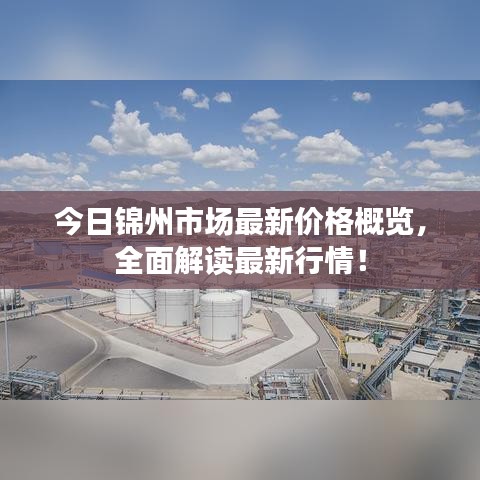 今日锦州市场最新价格概览，全面解读最新行情！