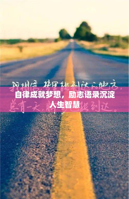 百鸟归巢 第2页