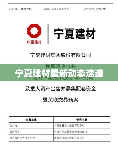宁夏建材最新动态速递