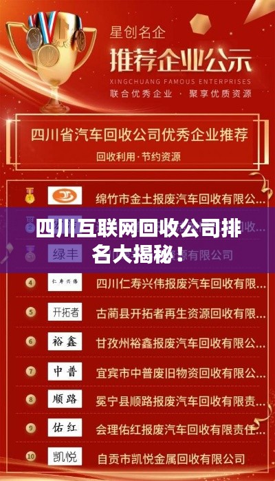 四川互联网回收公司排名大揭秘！