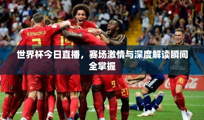 世界杯今日直播，赛场激情与深度解读瞬间全掌握