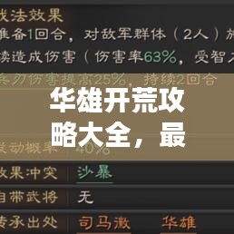 华雄开荒攻略大全，最新指南助你轻松登顶！