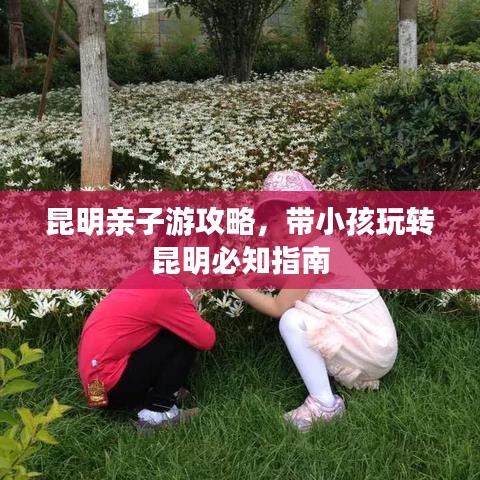 昆明亲子游攻略，带小孩玩转昆明必知指南
