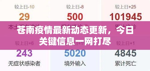 苍南疫情最新动态更新，今日关键信息一网打尽