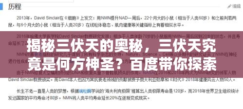 揭秘三伏天的奥秘，三伏天究竟是何方神圣？百度带你探索！