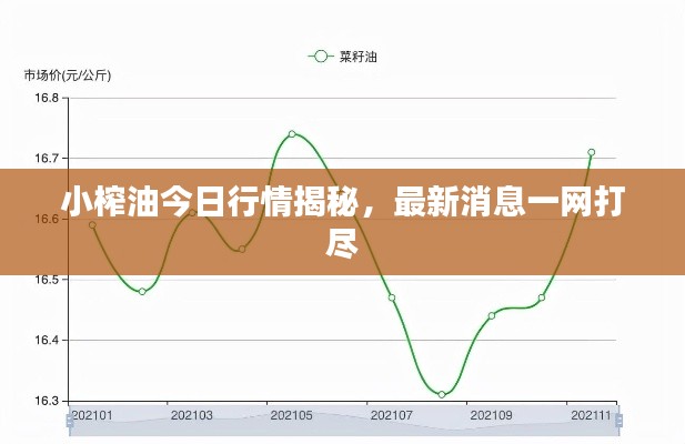 小榨油今日行情揭秘，最新消息一网打尽