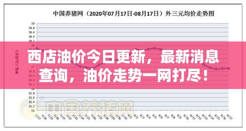 西店油价今日更新，最新消息查询，油价走势一网打尽！