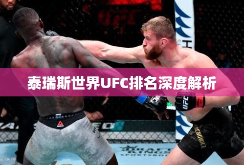 泰瑞斯世界UFC排名深度解析
