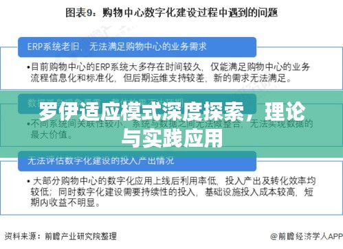 罗伊适应模式深度探索，理论与实践应用