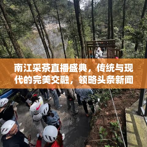 南江采茶直播盛典，传统与现代的完美交融，领略头条新闻的独特魅力！