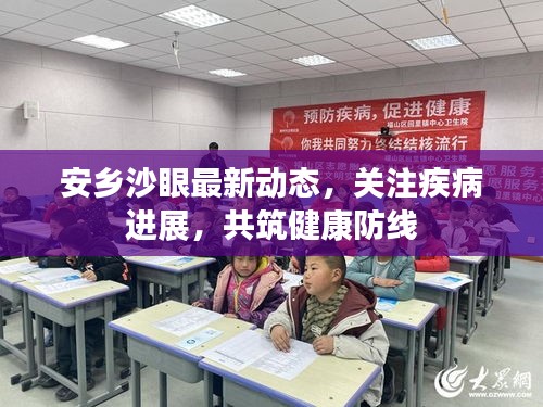 安乡沙眼最新动态，关注疾病进展，共筑健康防线
