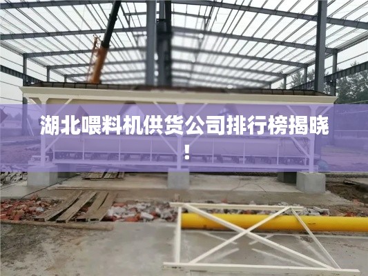 湖北喂料机供货公司排行榜揭晓！