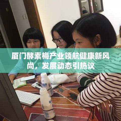 厦门酵素梅产业领航健康新风尚，发展动态引热议
