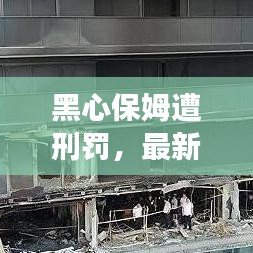 黑心保姆遭刑罚，最新案例分析解读