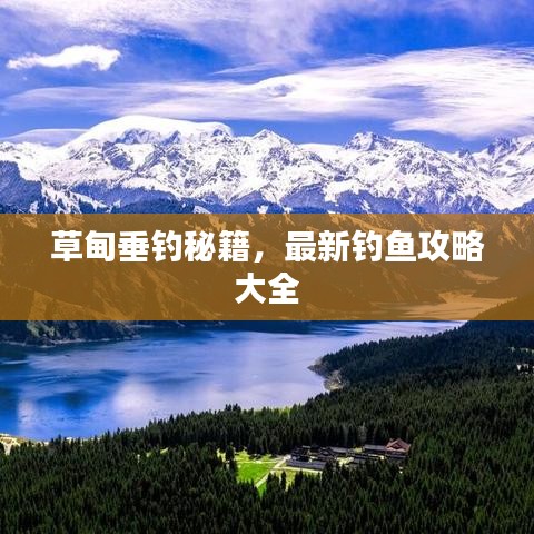 草甸垂钓秘籍，最新钓鱼攻略大全