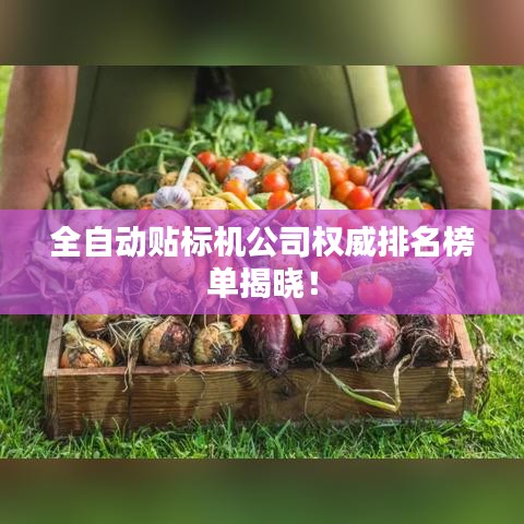 全自动贴标机公司权威排名榜单揭晓！