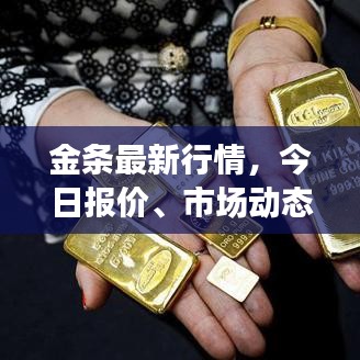 金条最新行情，今日报价、市场动态与未来趋势深度解析