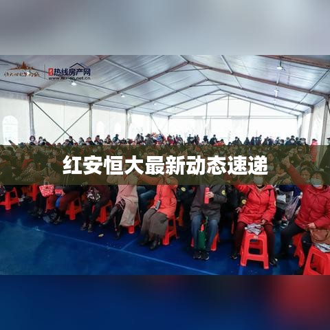 红安恒大最新动态速递