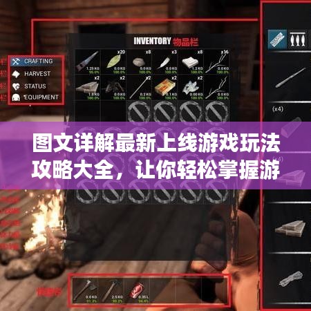 图文详解最新上线游戏玩法攻略大全，让你轻松掌握游戏技巧！