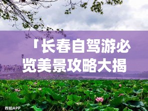 以卵就石 第2页