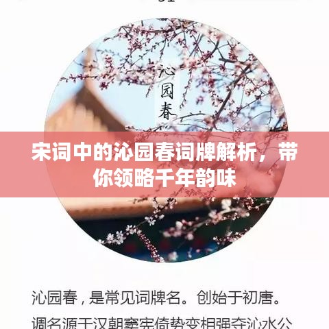 宋词中的沁园春词牌解析，带你领略千年韵味