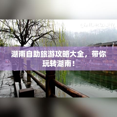 惊弓之鸟 第2页
