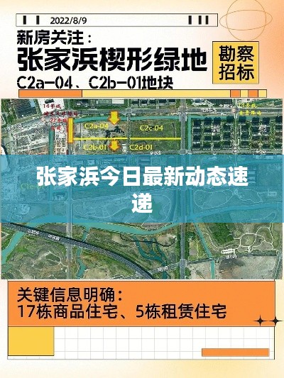 张家浜今日最新动态速递