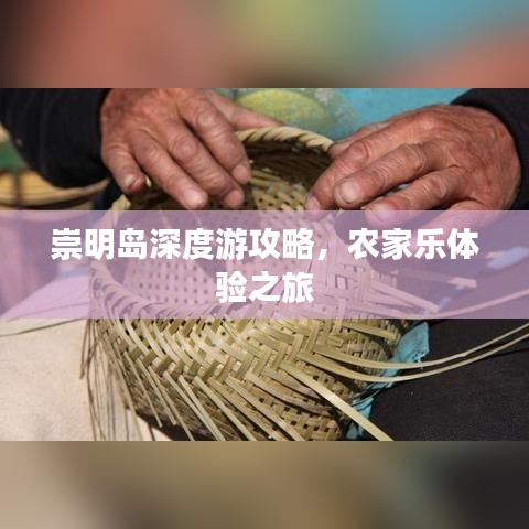 崇明岛深度游攻略，农家乐体验之旅