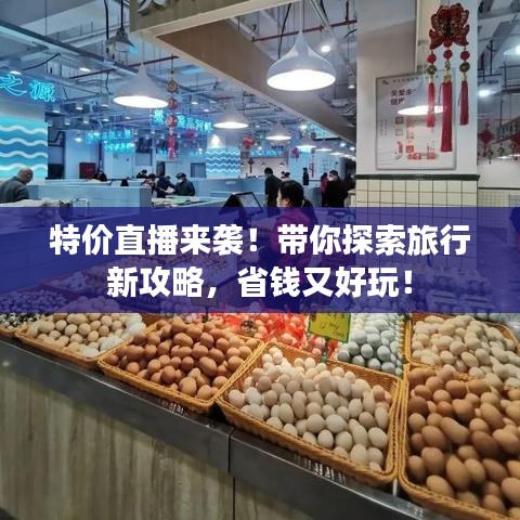 特价直播来袭！带你探索旅行新攻略，省钱又好玩！