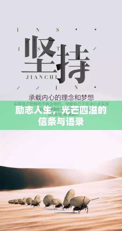 励志人生，光芒四溢的信条与语录